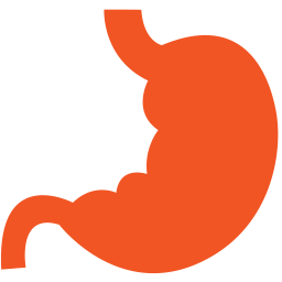 Cistoscopia 