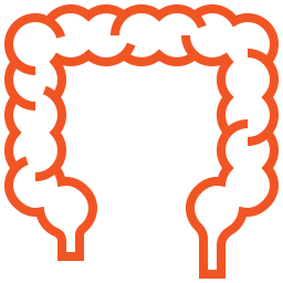 Colonoscopia